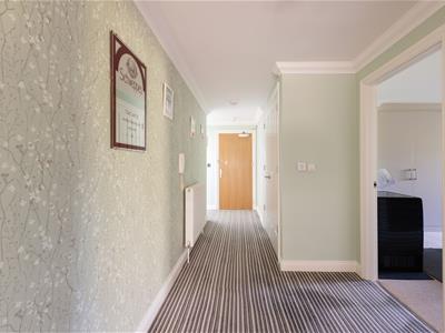 Picture 11
